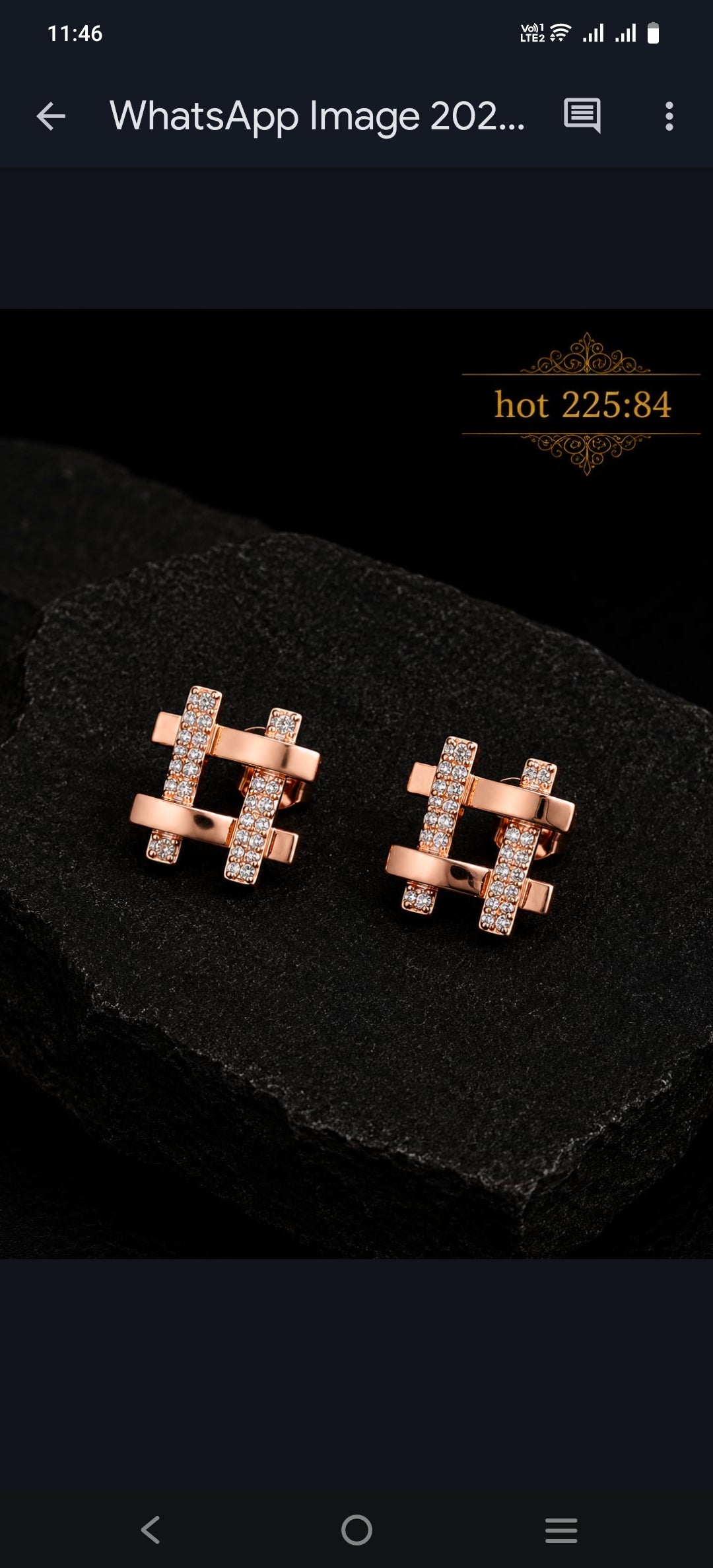 Earrings